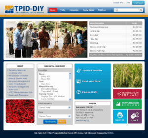 Launching Website TPID DIY